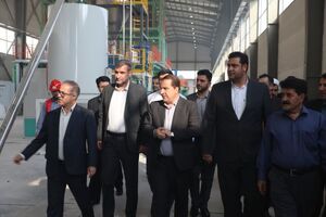 استاندار ایلام از پروژه کارخانه کاغذ سنگی در شهرستان چرداول بازدید کرد