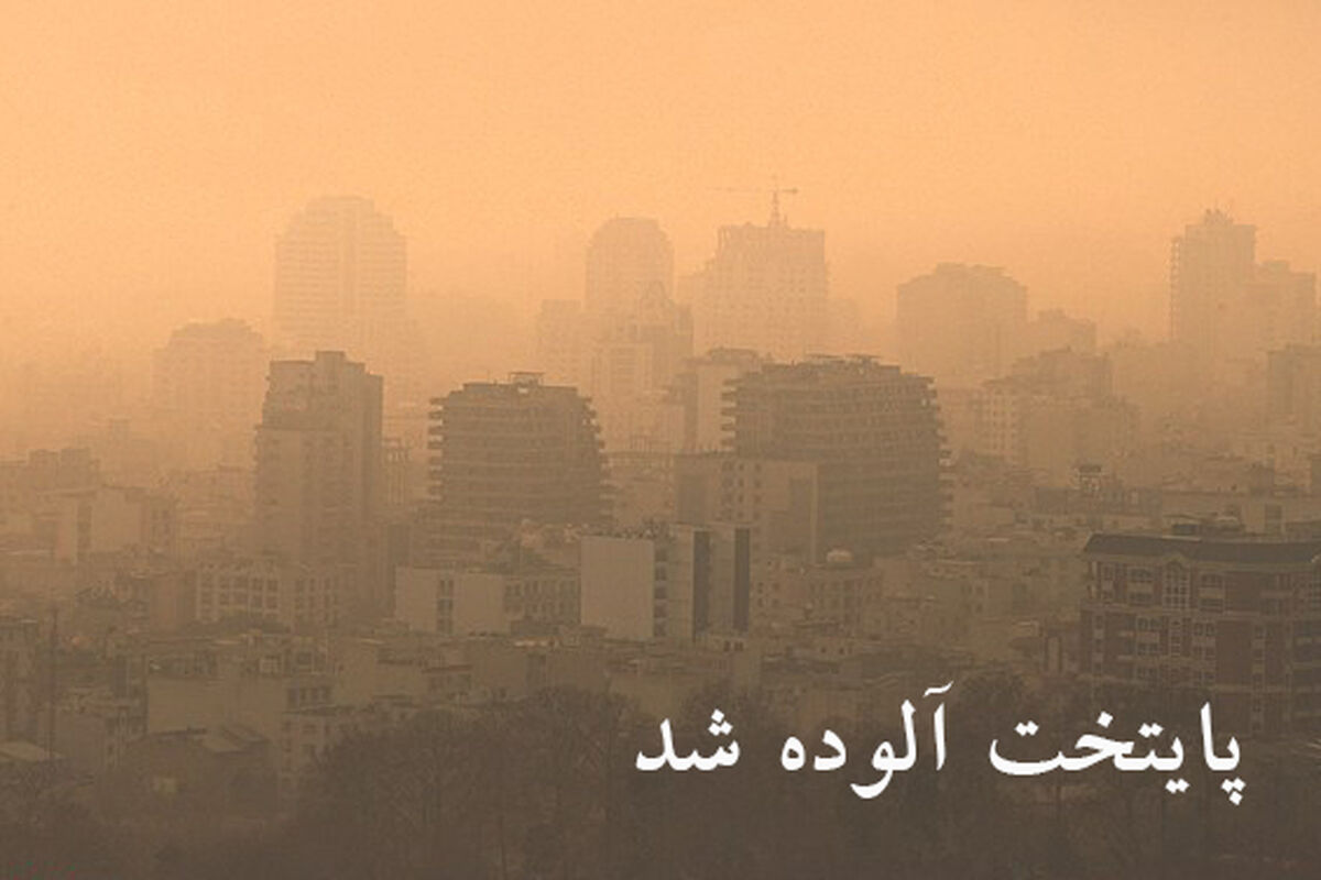 FFd8RmdUoX7m