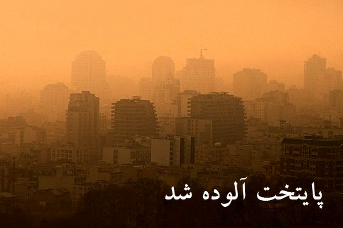FFd8RmdUoX7m