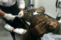 حمله پلنگ به چوپان در محدوده دربند بخش مرزن آباد