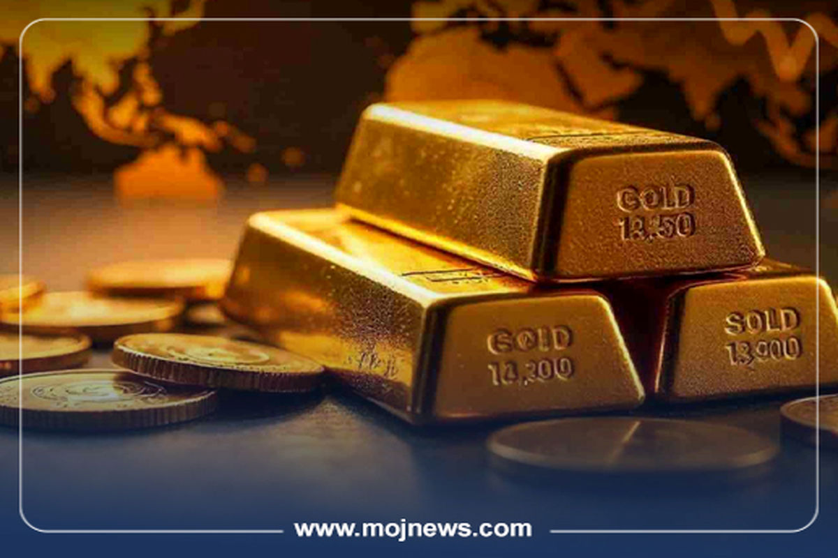 کاور اینفو2 copy475