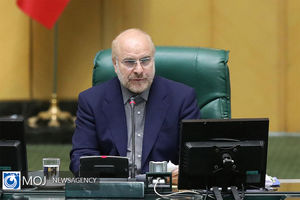 مجلس توقع دارد سیاست های اقتصادی دولت به صورت شفاف و روشن اعلام شود