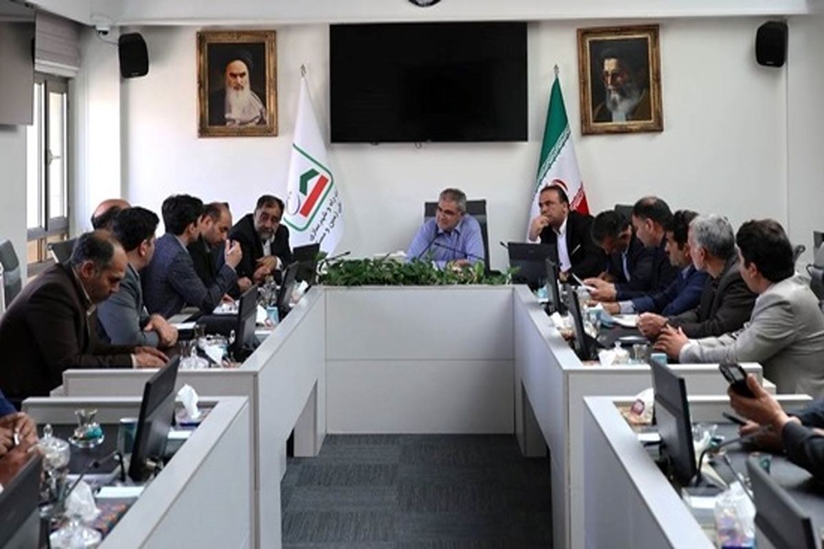 مدیرعامل سازمان ملی زمین و مسکن