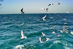 وضعیت جوی و دریایی هرمزگان آرام است