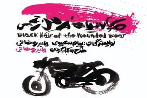  اجرای محدود نمایش موی سیاه خرس زخمی