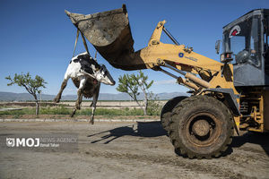 تحقق تامین امنیت غذایی با اتکا بر تولیدات داخلی