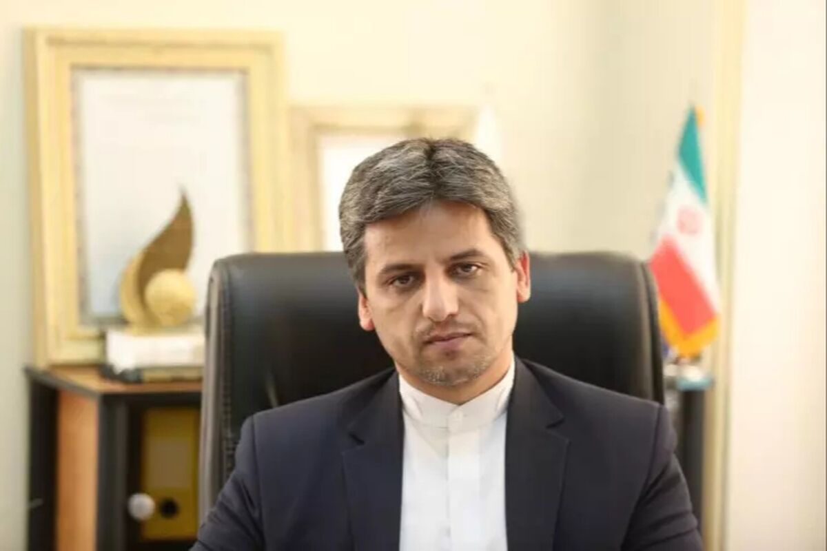 هادی محمودنژاد