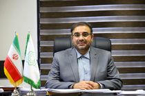 اوراق مشارکت تنها راه چاره برای دریافت تعهدات دولتی