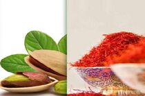 کسب درآمد ۳۸۰ میلیون دلاری خراسان رضوی از صادرات پسته و زعفران