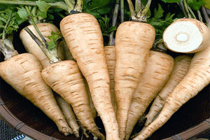 برداشت 100 تن زردک از مزارع آران و بیدگل / سطح زیر کشت بیش از 5 هکتار