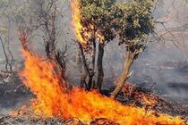 حریق 30 هکتار از زمین های محیط زیست در نطنز