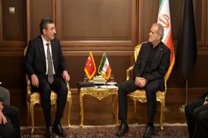 دیدار معاون رئیس‌جمهور ترکیه با پزشکیان + فیلم