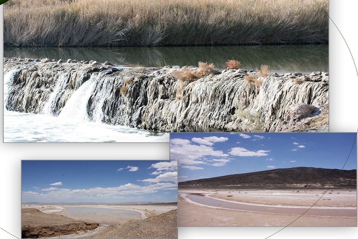 رسیدن آب به تالاب - 1 بهمن