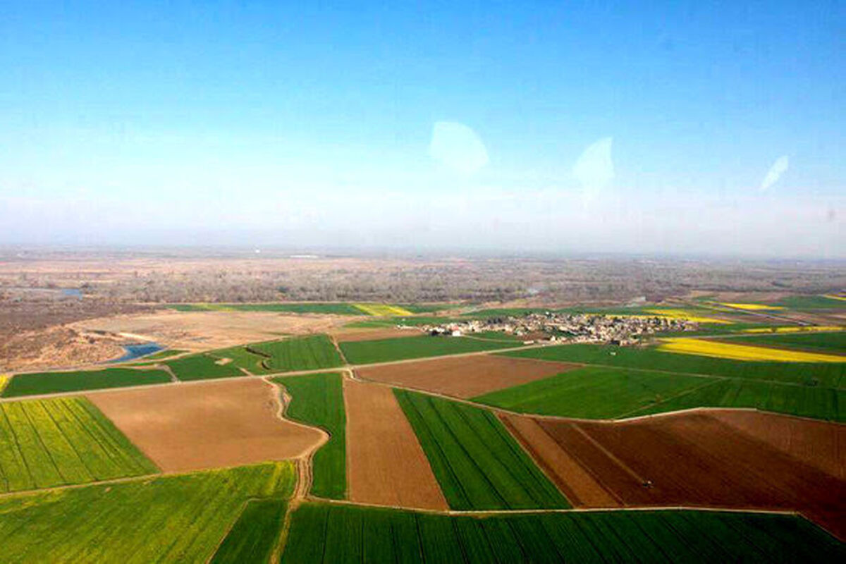 اراضی کشاورزی 