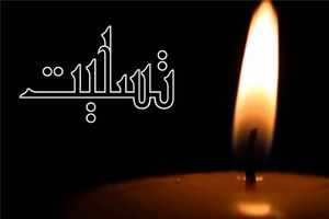 پیام رئیس نهضت سوادآموزی در پی شهادت یکی از آموزشیاران نهضت