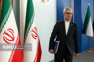تیم ایران با آمادگی کامل پای میز مذاکره آمده است