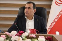 همه شهرهای خوزستان، زیر استاندارد فضای سبز/ ۳۰ درصد صنایع، تعهد خود را تکمیل نکرده‌اند