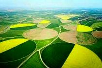 وضعیت واگذاری کشت و صنعت مغان 