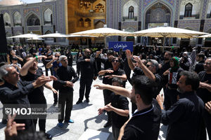 عزاداران رضوی از ۲۰ ملیت دنیا به مشهدالرضا آمدند