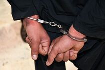 کارمند سابق بانک با ۱۴ میلیارد تومان کلاهبرداری توسط اینترپل مسترد گشت