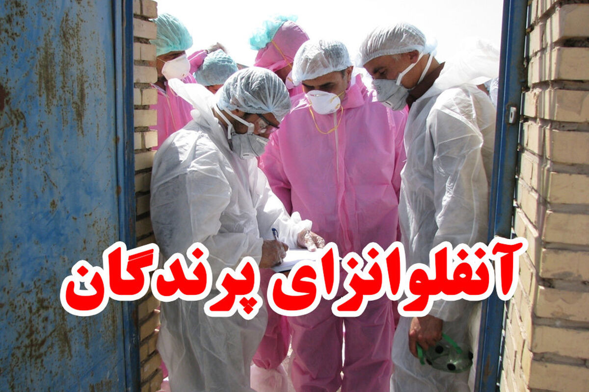 اصفهان- انفولانزای پرندگان