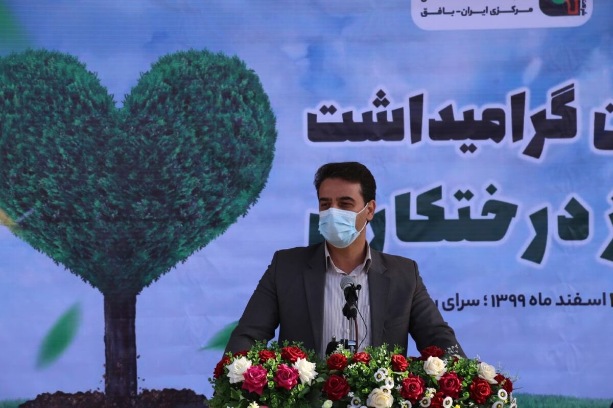 بافق