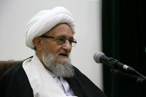 اقتصاد کشور را بر پایه تهیه غذای حلال بنا کنیم