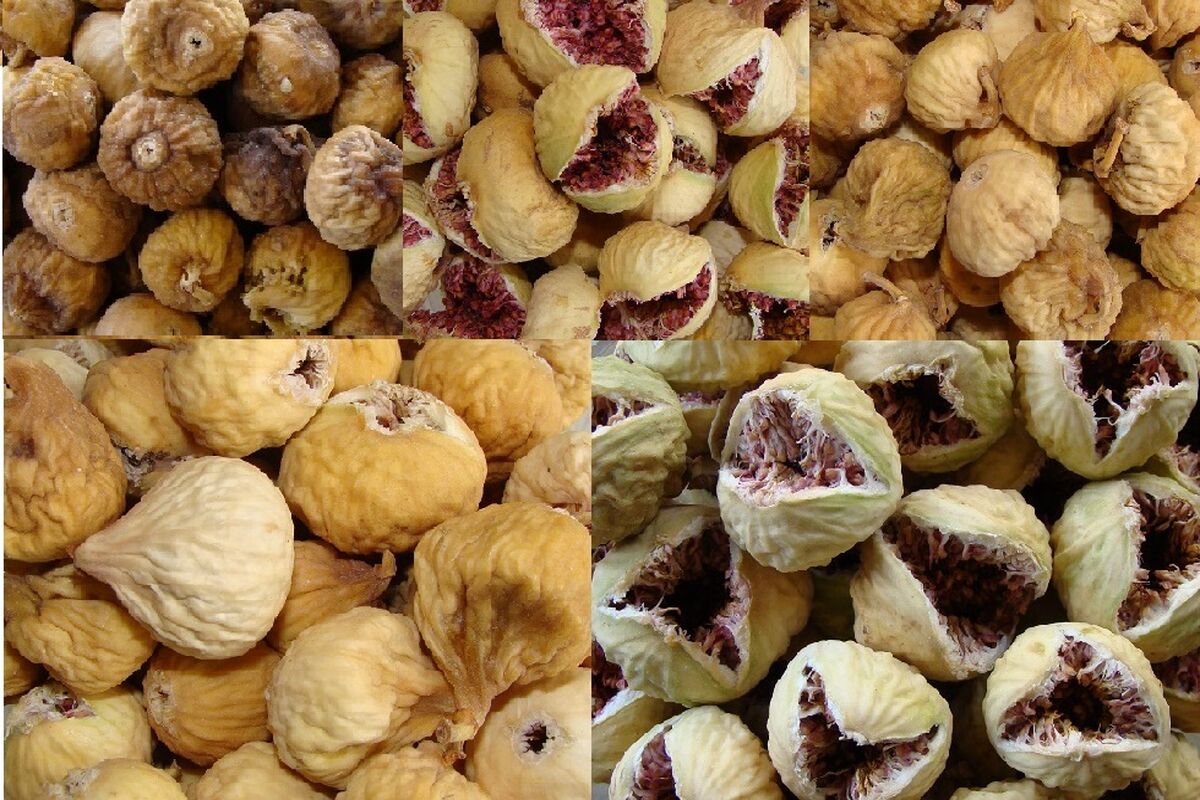 انجیر 