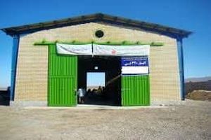 اختصاص مبلغ ۱۰ میلیارد ریال منابع از محل اعتبارات تملک دارایی سرمایه‌ای استانی به طرح‌های زیرساختی استان مرکزی