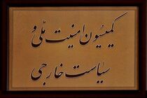 ستاد کل نیرو‌های مسلح تقریبا گزارش خود درباره سانحه هواپیمای اوکراینی را آماده کرده است