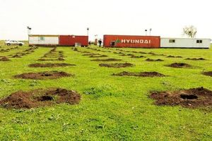 رئیس‌جمهور برای تهیه گزارش جامع از پتروشیمی میانکاله دستور داد