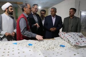 ۱۰ میلیارد تومان اعتبار برای حمایت از نوغانداری