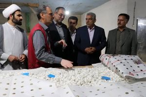 ۱۰ میلیارد تومان اعتبار برای حمایت از نوغانداری