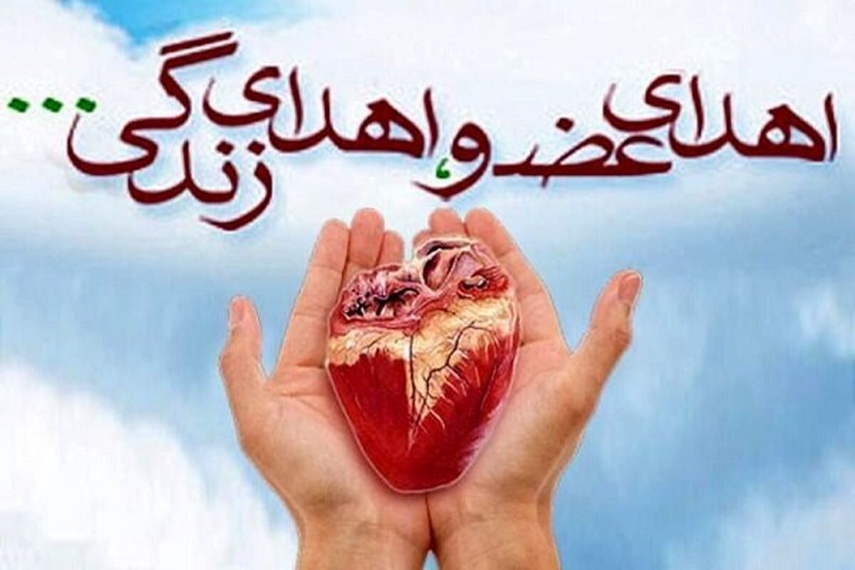 عضو