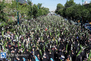 گلباران حرم مطهر رضوی