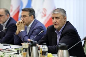 دولت باید کارآمد باشد که این مساله نیازمند چابکی مستمر بین دستگاه‌های اجرایی است