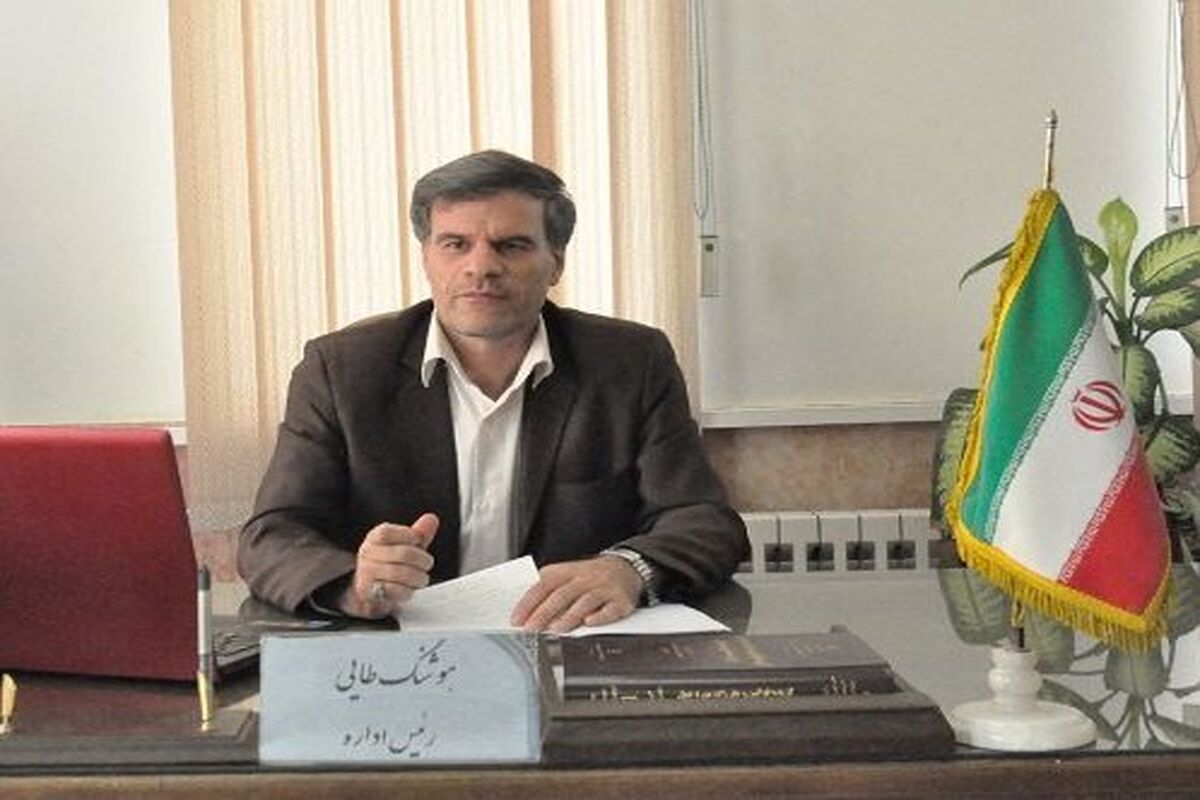 هوشنگ طایی