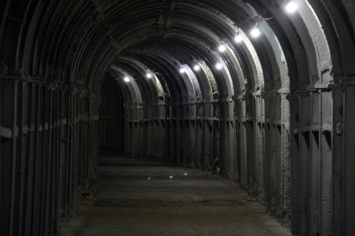 شهرداری شیراز 