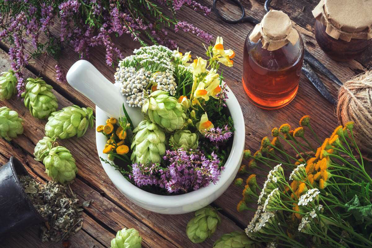  فروش گیاهان دارویی ویژه درمان کرونا تخلف است