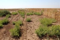 همکاری نیروی انتظامی با یگان حفاظت منابع طبیعی خلیل آباد