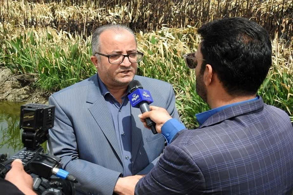 عکس خبرمحیط زیست