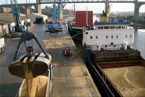 برنج و ذرت در ۵ ماه نخست امسال در صدر اقلام وارداتی