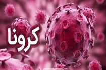 آمار کرونا در استان تهران رو به کاهش است