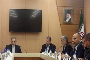 ولایتی به رئیس دفتر سیاسی حماس تبریک گفت