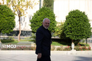 ظریف ادعای رسایی درباره درخواست ویزای شنگن آلمان را بی پاسخ نگذاشت