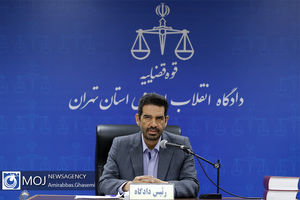 نخستین جلسه رسیدگی به اتهامات شبنم نعمت زاده آغاز شد