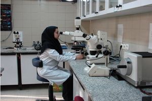 حیات آزمایشگاه‌های پزشکی بحرانی است/ «۱۱ ماه» طلب از بیمه‌ها