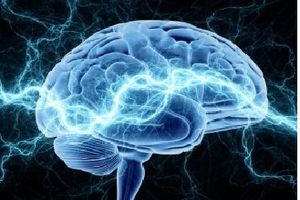 ورزش از پیری مغز جلوگیری می‌کند