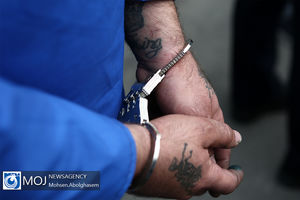 یکی از اراذل و اوباش محله پیروزی تهران دستگیر شد