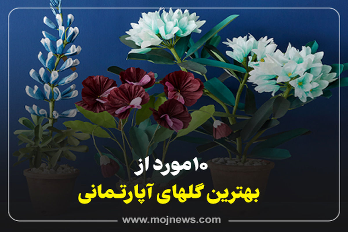 کاور گلهای آپارتمانی موج